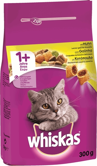 Picture of Whiskas Dry Food Chicken x 300g